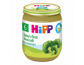 Hipp Organic Baby First Broccoli - Case