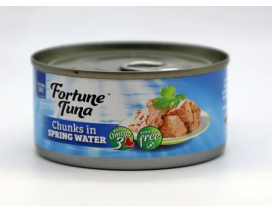 Fortune Tuna Chunks In Spring Water- Carton