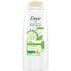 Dove Shampoo Cool Moisture - Carton