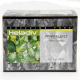 Heladiv® Flavored Tea Bag Peppermint - Carton