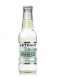 Artonic Ginger Ale - Carton