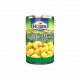 Hosen Gingko Nuts China - Carton