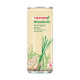 F&N Seasons Botanicals Lemongrass Ginger  - Carton